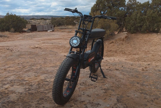 Tomofree FG20 1200 Watt Fat Tire Mountain Ebike