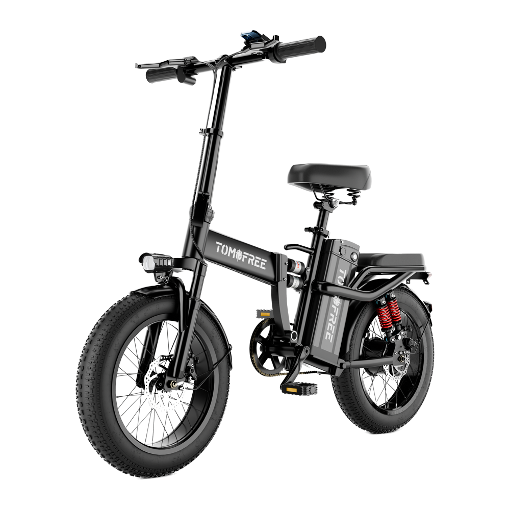 Foldable electric fashion fat bike