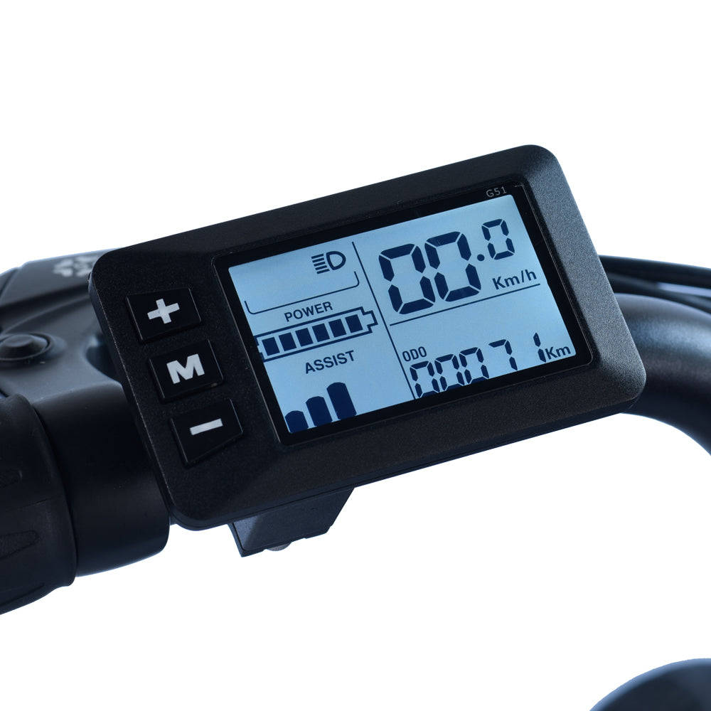 e bike display panel Display for DK200 Ebike
