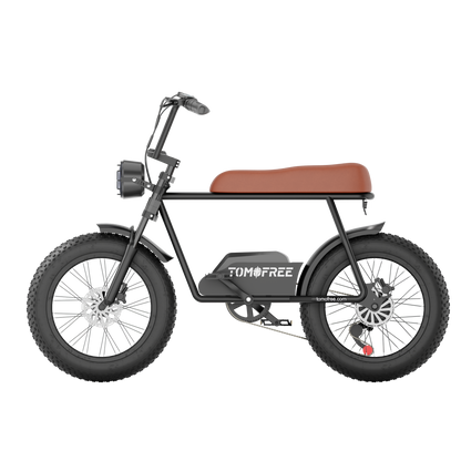 FG20 Ebike