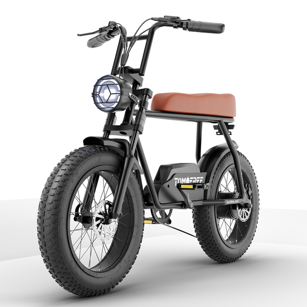 Tomofree® Electric Bikes & Scooters