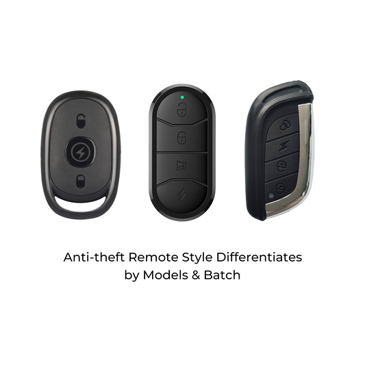 Anti-theft Remote