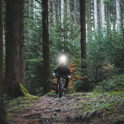 Bike Helmets