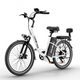 CS20 Cruiser Ebike