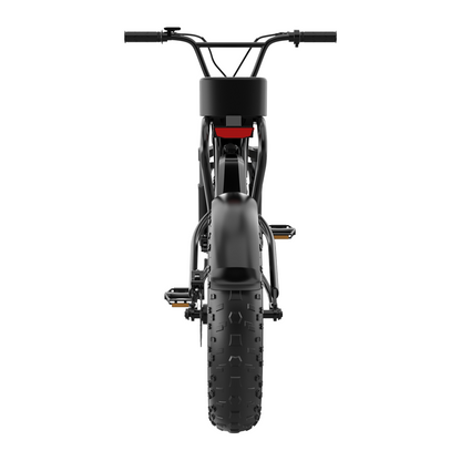 DK200 Ebike