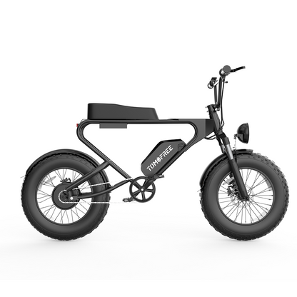 DK200 Ebike