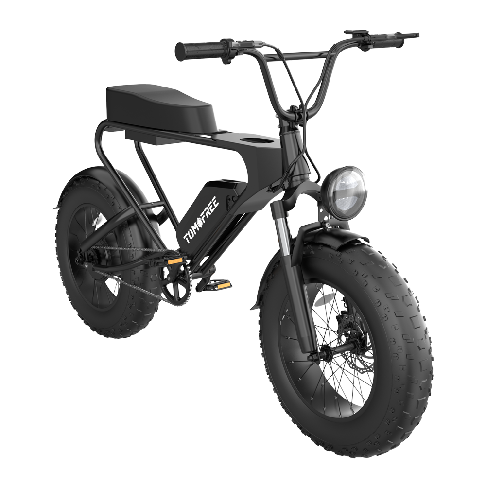 dk200-ebike