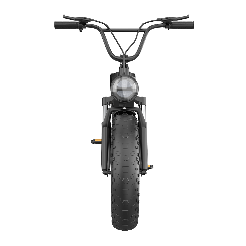 DK200 Ebike