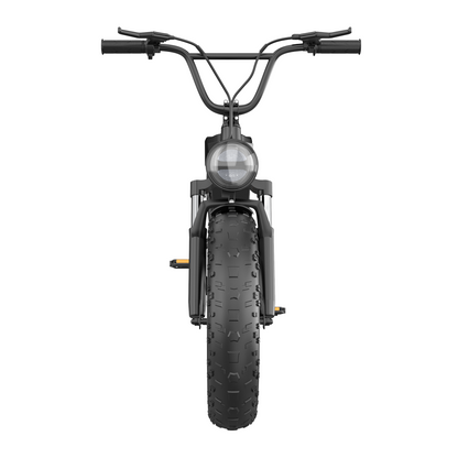 DK200 Ebike