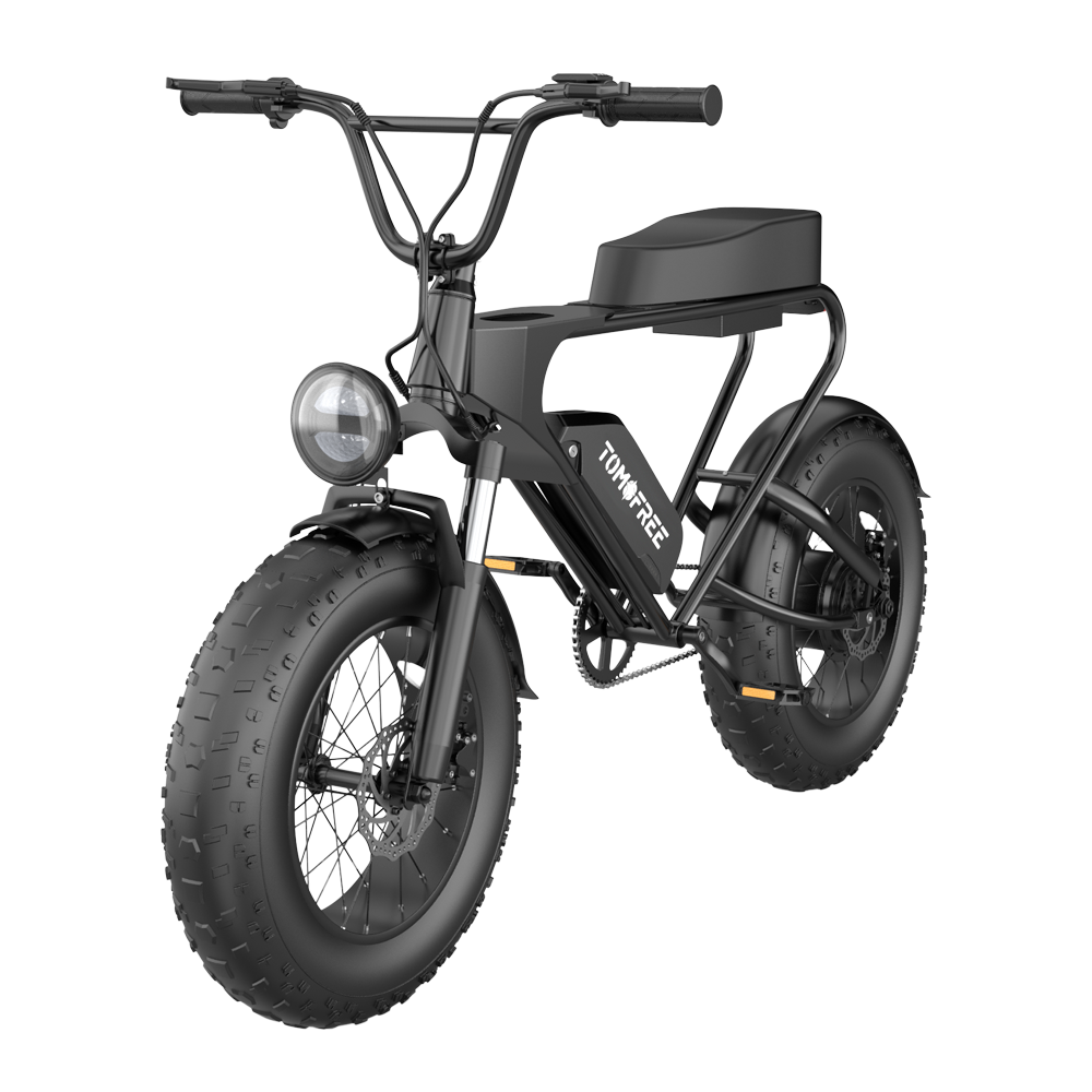 dk200-ebike
