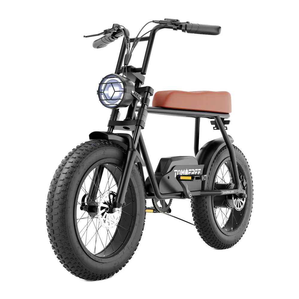 fg20-ebike