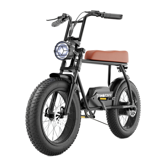 FG20 Ebike