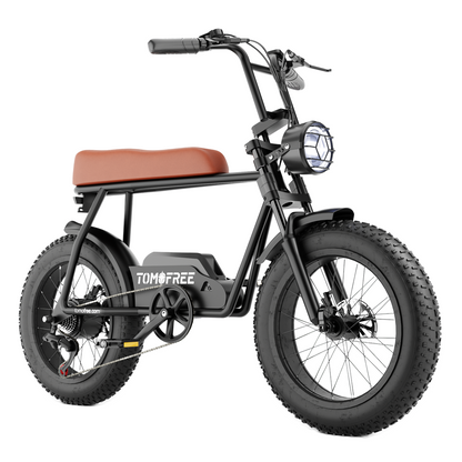 FG20 Ebike