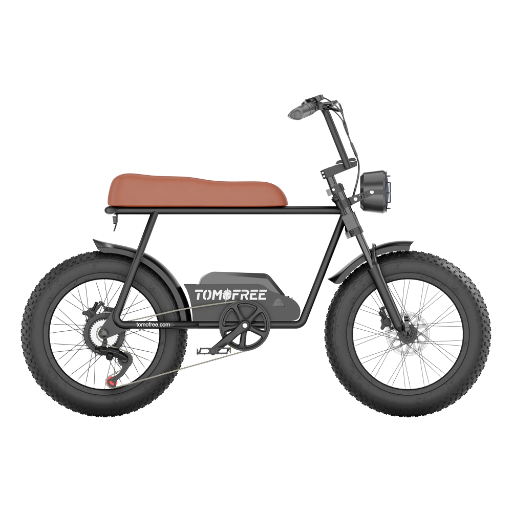 FG20 Ebike