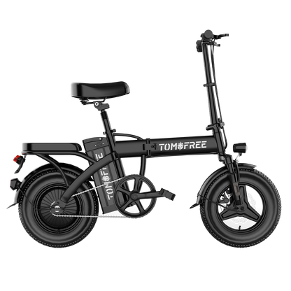 P1 Folding Ebike Combo