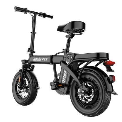 P1 Folding Ebike Combo