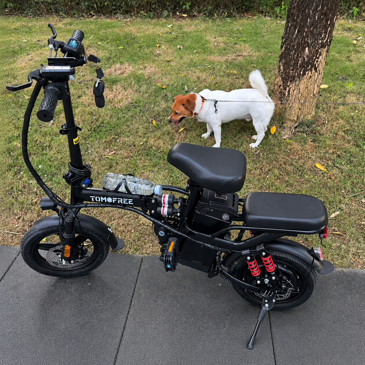 T0/T0PRO Folding Ebike