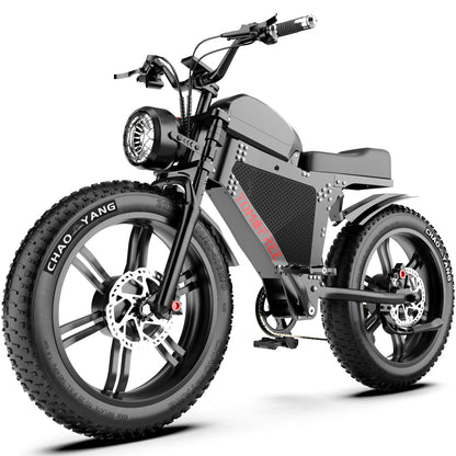 TK300 Ebike