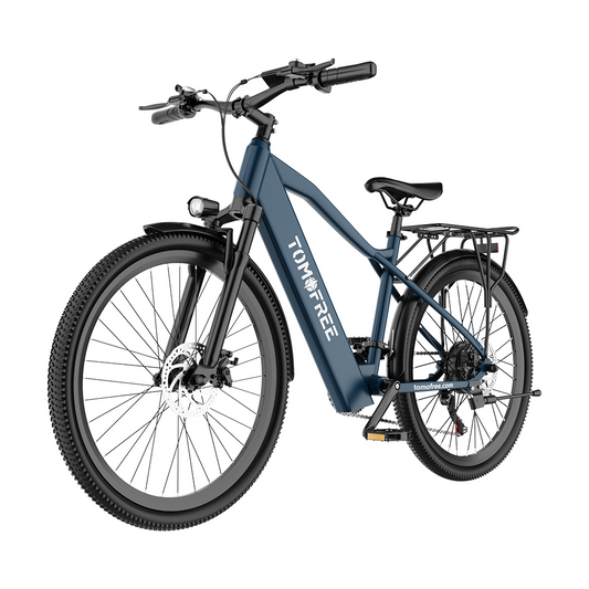 With Rear Rack