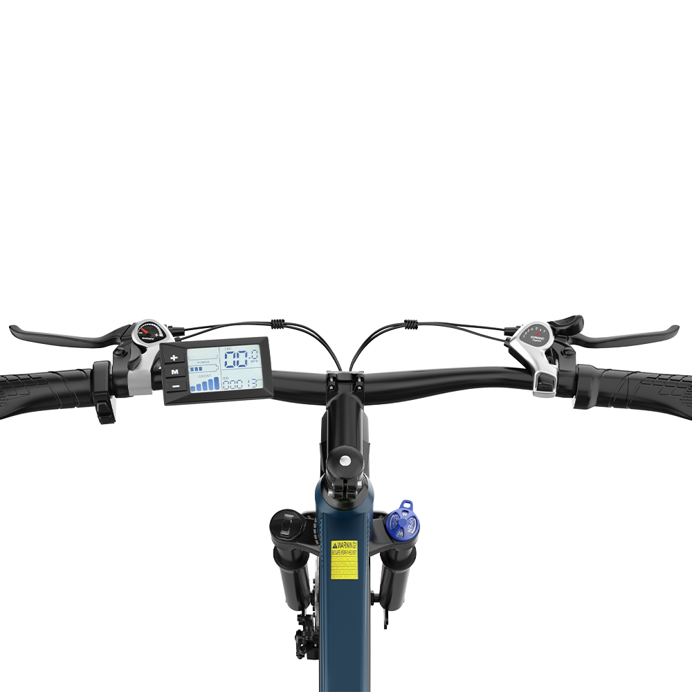 With Rear Rack