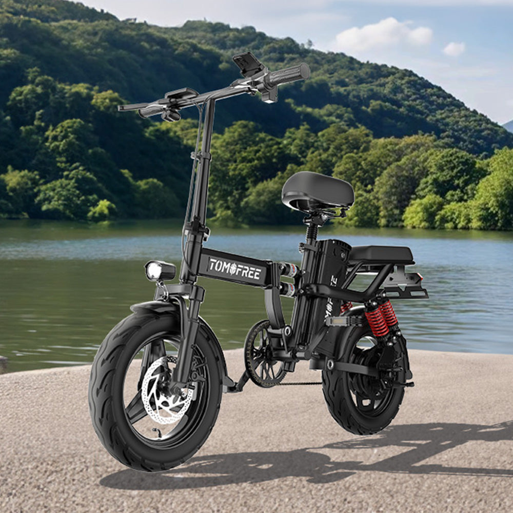 Z1PRO Folding Ebike