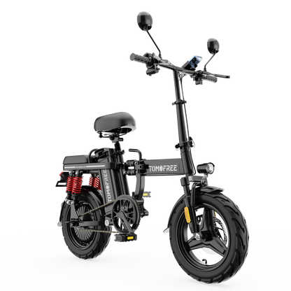 Z2 Folding Ebike