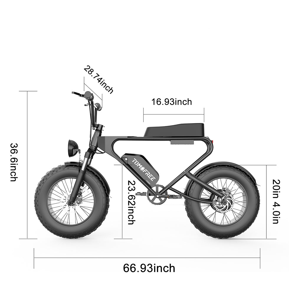 DK200 Ebike