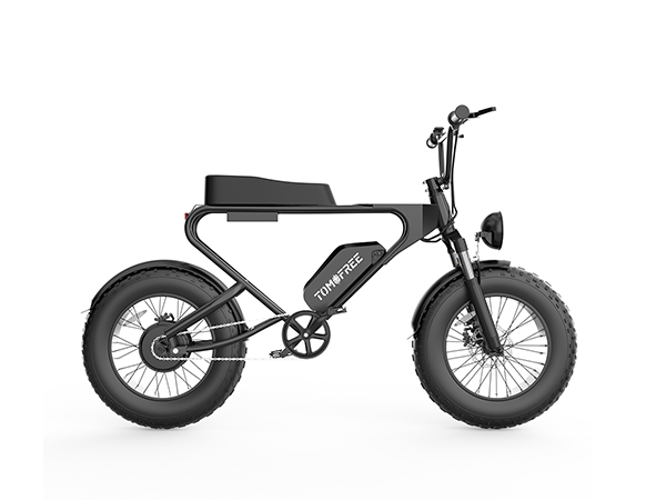 Tomofree® T1 Foldable Electric Bike | 48V 1200W Motor 20Ah Battery