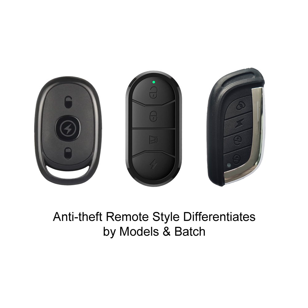 Anti-theft Remote
