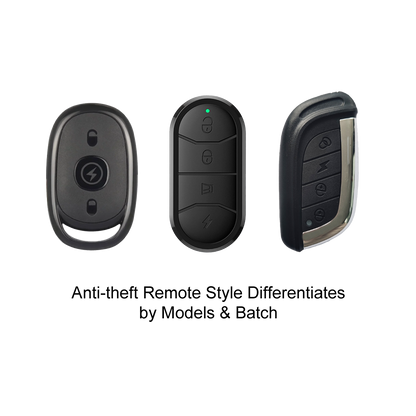 Anti-theft Remote