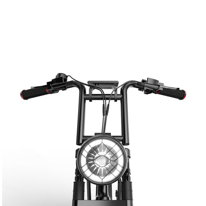Tomofree FG20 Classic Electric Bike 